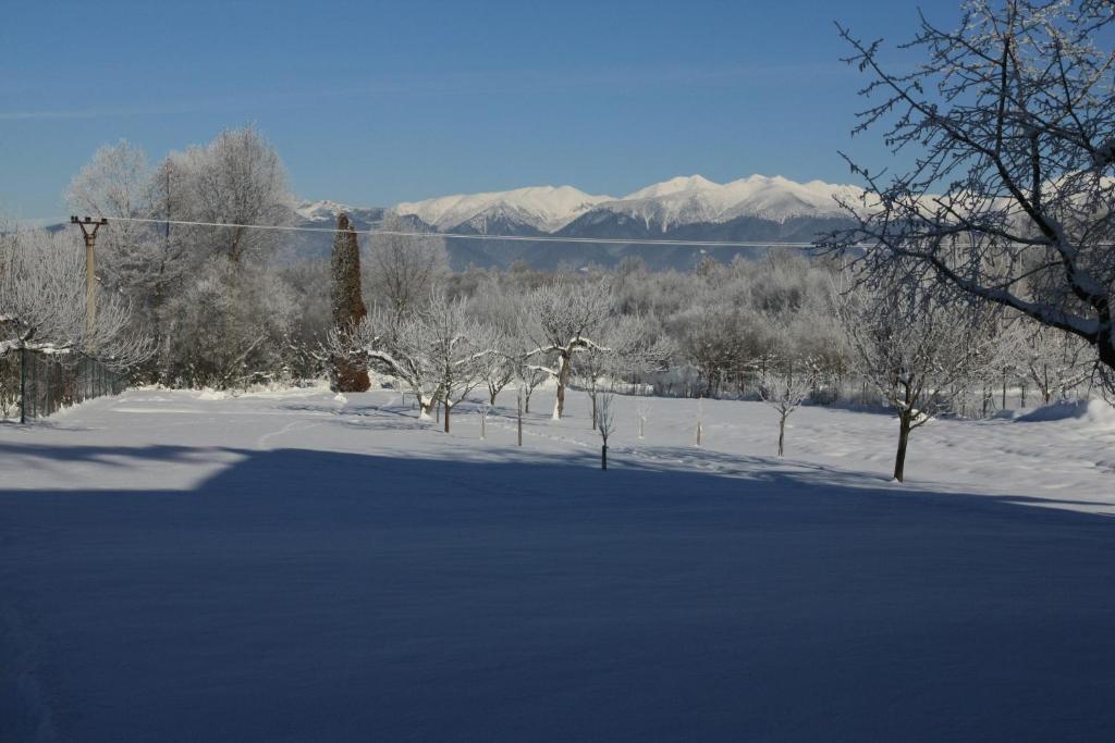 Pavčina Lehota Skipension Jasna מראה חיצוני תמונה
